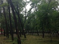 iphone_upload_pic-顺鑫绿色度假村