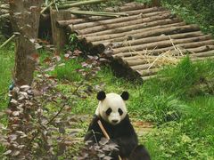 -黔灵山公园