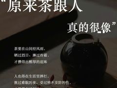 -金鸡湖景区