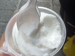-洪馨椰子