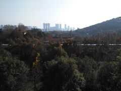 -西湖风景区-江洋畈生态公园