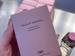 -ZARA(成都远洋太古里店)