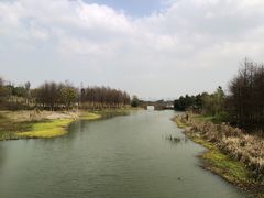 -三垟湿地