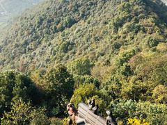 -杭州半山国家森林公园