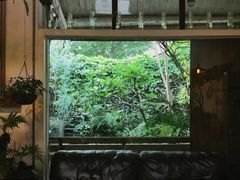 -植觉