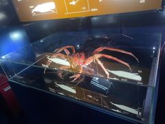 -同济大学四平路校区深海探索馆