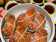 -黄记大闸蟹专卖店·活蟹·醉蟹