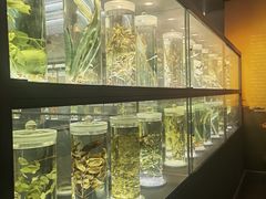 -广东中医药博物馆