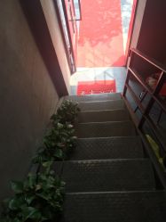 -艾嘉形象