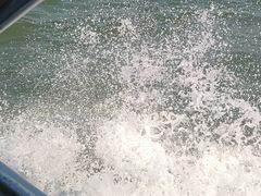 -双月湾小星山潜水·浮潜俱乐部