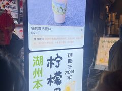 -猫的魔法密林(衣裳街店)