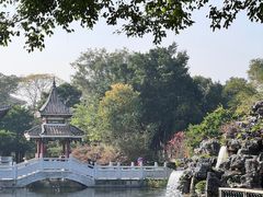 -顺峰山公园