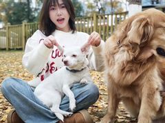-逗柴咖啡屋·狗咖猫咖宠物桌游