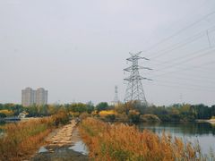 -大港湿地公园