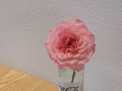 -禾气食店