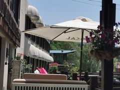 -Local泰莲庭(虹鳟鱼店)