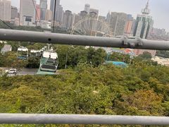 -富斯特索道