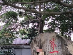 -乌山风景区