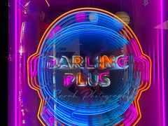 -Darling Queen·Mini·Live·House