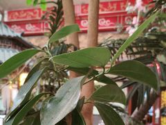 -和源祥·日照菜扛把子(万平口一店)