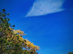 -奉浦四季生态园