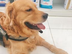 -北京恒爱动物医院(清景园分院)