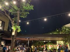 -河内西湖莲花自助餐厅