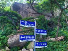 -崂山仰口游览区