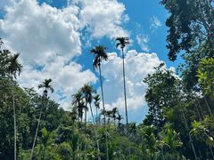 -中国科学院西双版纳热带植物园