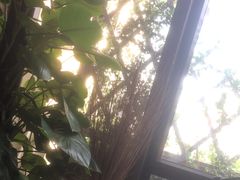 -卡普里披萨·牛扒·下午茶