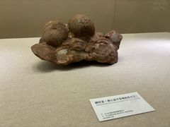 -衢州市博物馆