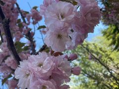 -长白岛森林公园