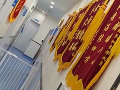 -心语宠物医院·急重症转诊中心·瑞辰华诺(南青路店)