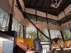 -湖南省地质博物馆