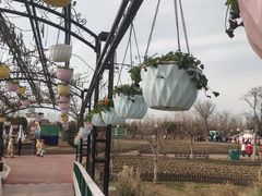 -荷兰花海