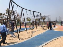 -南汇嘴观海公园