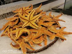-圣罗巴甄选自助(麦凯乐店)
