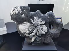 -中国地质大学逸夫博物馆