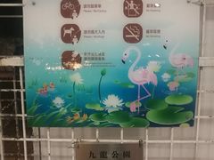 -九龙公园