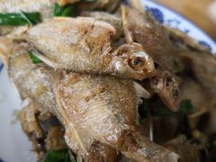 -洞天食府(北大街店)