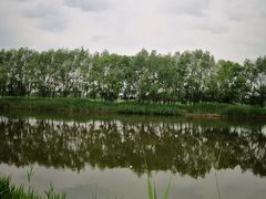 -白渔泡湿地公园