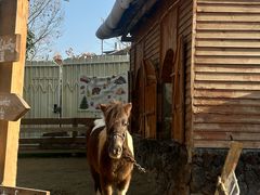 -HERRE·FARM 赫尔露营农场·团建聚会包场