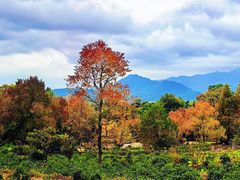 -塔川景区