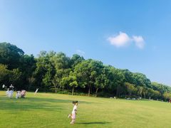 -昆山城市生态森林公园