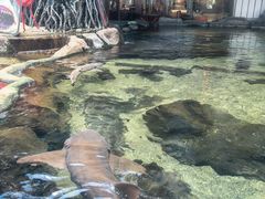 -鸿通城购物中心