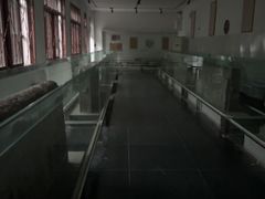 -赵州桥景区