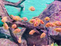 -常州海昌海洋探索馆