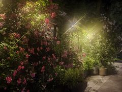 -春暖花开(西溪店)