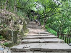 -南山植物园