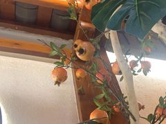 -肖记公安牛肉鱼杂馆·省级非物质文化遗产(万松园直营店)